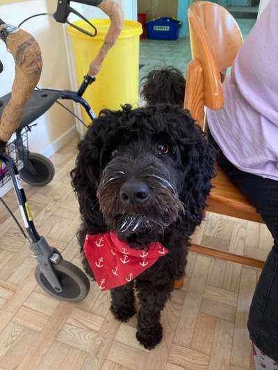 147. Foto Challenge: Bettelblick-Beitrag-Bild