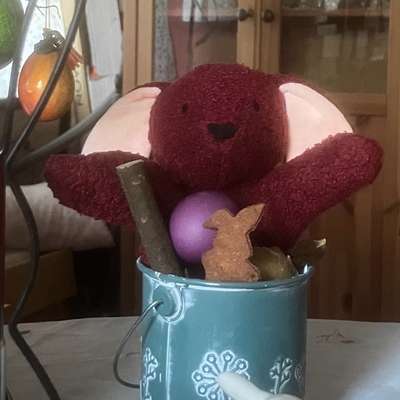 Freddys Kummerkasten-Beitrag-Bild