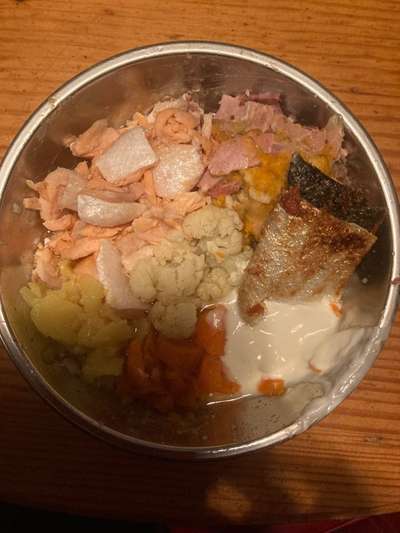 Zeigt her Eure Futternäpfe-Beitrag-Bild