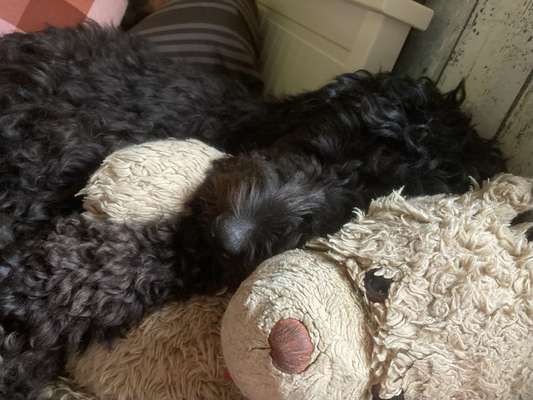 Foto Challange Nr.80-Beitrag-Bild