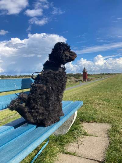 Fotochallenge Nr.100 Urlaubsimpressionen-Beitrag-Bild