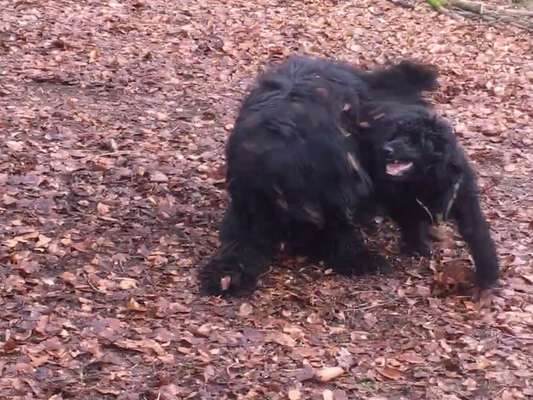 Fotochallenge 130-Beitrag-Bild