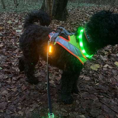 Freddys Kummerkasten-Beitrag-Bild