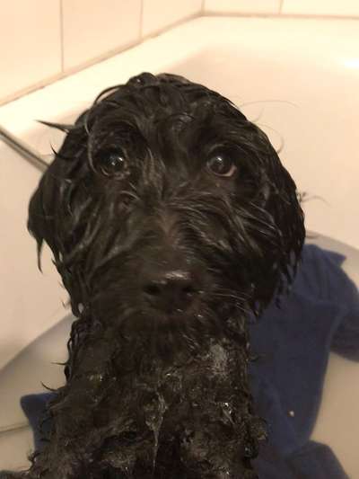 Fotochallenge 128-Beitrag-Bild