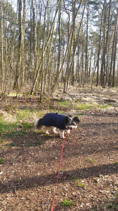 Pullis, Jacken, Hütte und alles sonstiges-Beitrag-Bild