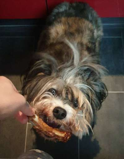 LUSTIGE FOTOS! WER KANN MITHALTEN?-Beitrag-Bild