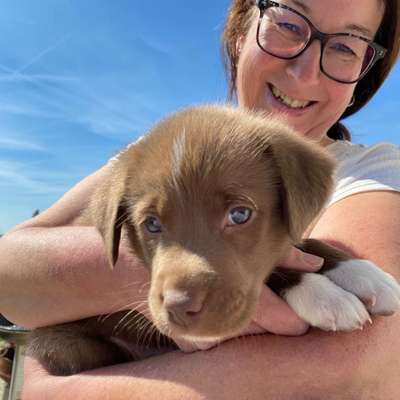 Hundetreffen-Welpentreffen  München Ost