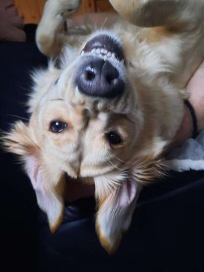 Her mit dem Grimassen-Beitrag-Bild