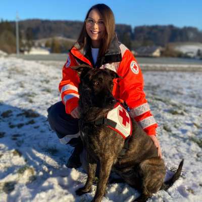 Hundetreffen-Spielstunde für Junghunde ab 6 Monaten