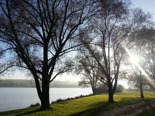 Hundeauslaufgebiet-Rottauensee-Bild