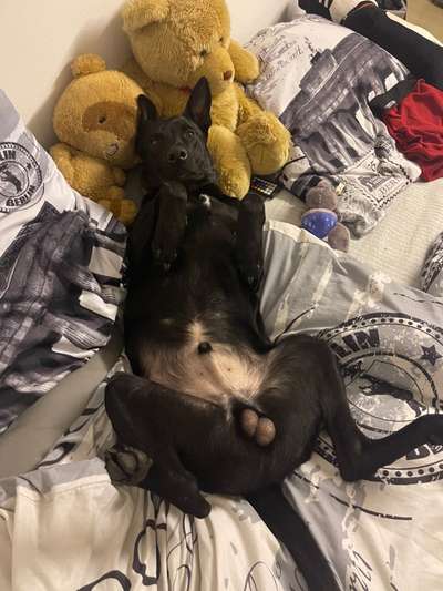 Fotochallenge Nr.65-Beitrag-Bild