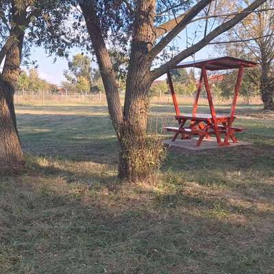 Hundeauslaufgebiet-Hundewiese-Bild