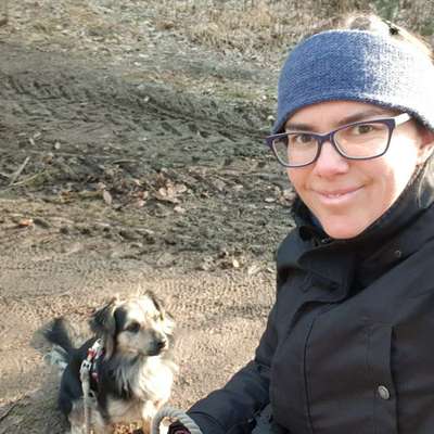 Hundetreffen-Spielen outdoor und indoor Graz-West-Profilbild