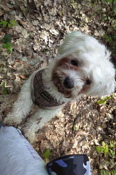 Lieblings "nervige Sprüche"-Beitrag-Bild