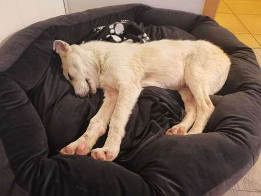 Sie werden so schnell erwachsen ...-Beitrag-Bild