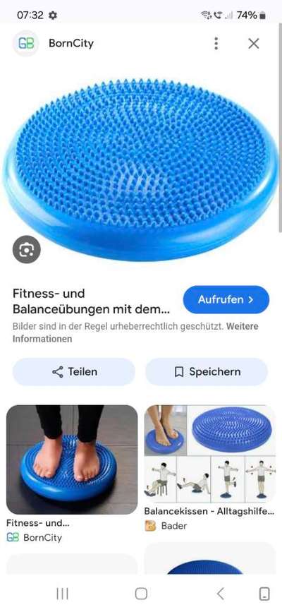 Muskulatur Rumpf/Hinterläufe stärken-Beitrag-Bild