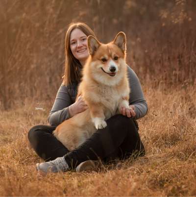 Tierfotografen-Savoy Dogs Fotografie-Bild