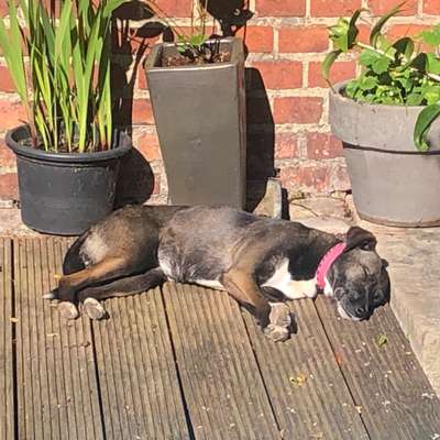 Medizinische Dienstleistungen-Knotenwerkstatt-Bild