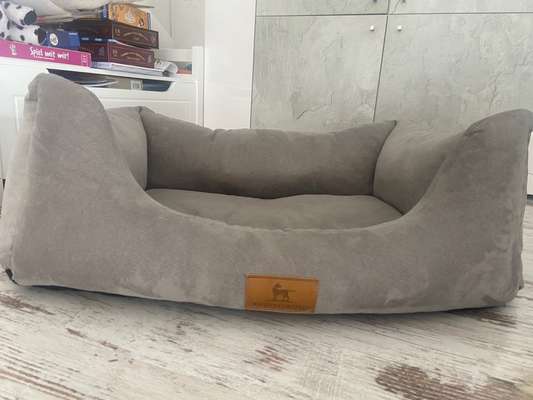 Französische Bulldoggen-Beitrag-Bild