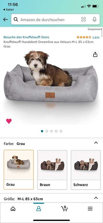 Französische Bulldoggen-Beitrag-Bild