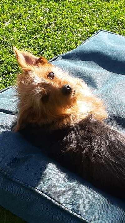 Fotochallenge Nr. 67: Euer Lieblingsbild-Beitrag-Bild