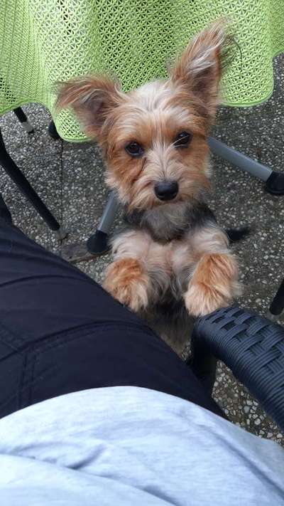 Fotochallenge Nr. 67: Euer Lieblingsbild-Beitrag-Bild