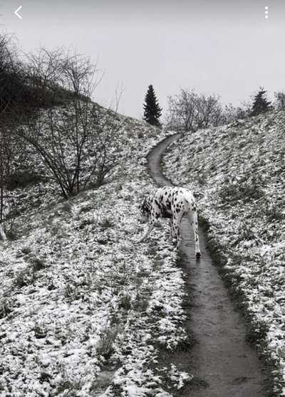 Ton in Ton-Beitrag-Bild