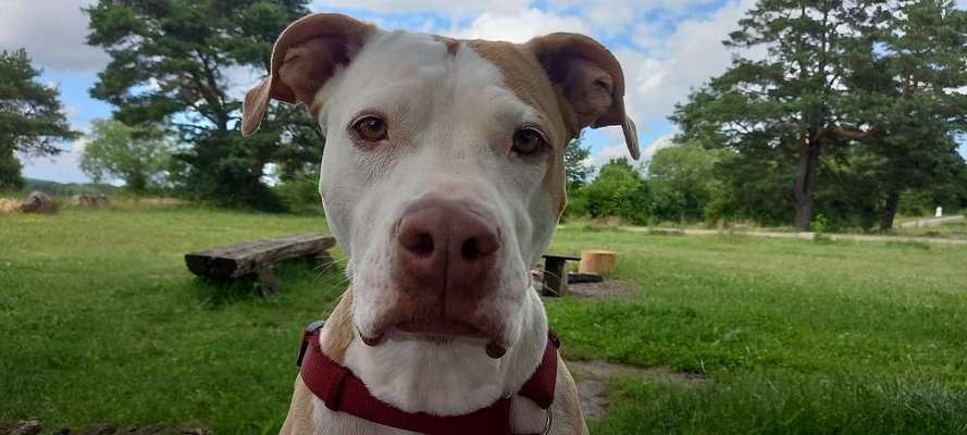 Fotochallange Nr. 57     PORTRÄT.   Beendet!!!!!!!!-Beitrag-Bild