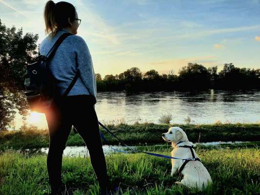 Mein Junghund wächst sehr langsam!-Beitrag-Bild