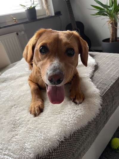 Lieblings Fotos-Beitrag-Bild