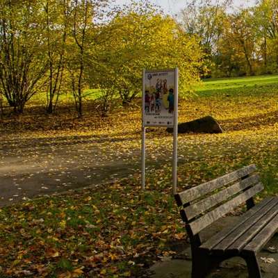 Hundetreffen-Hundetreff am Blumenthalstr (Park)-Bild