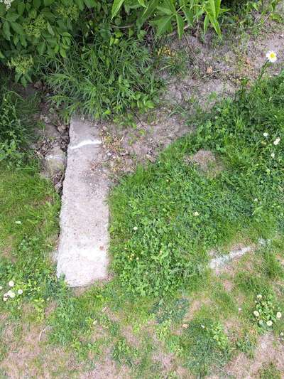 Giftköder-Weisses Pulver-Bild