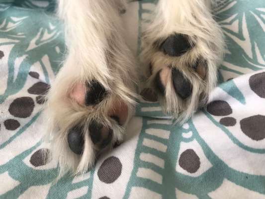 23. Farben / Fotochallenge - Türkis --Beitrag-Bild