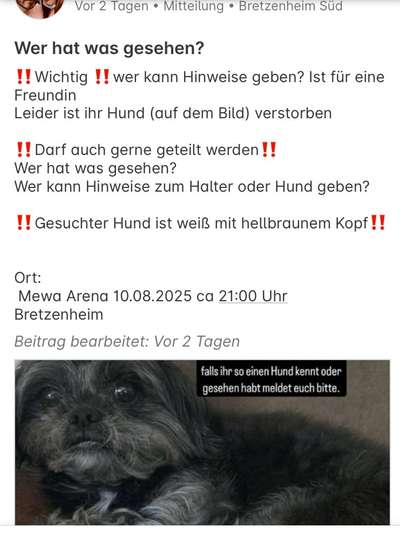 Giftköder-Hund nähe MEWA-Arena totgebissen-Bild