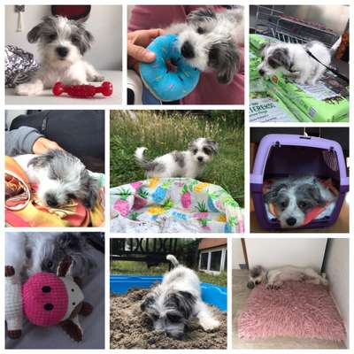 48. Collagen Challenge: Das Leben ist bunt-Beitrag-Bild