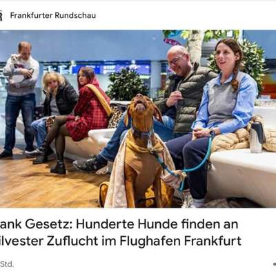 Wie habt ihr den Silvesterabend verbracht?-Beitrag-Bild