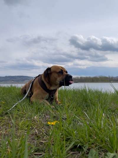 Fotochallenge No. 26                                     Wald und Wiese-Beitrag-Bild