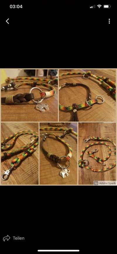 Tau Set Hunde-Beitrag-Bild