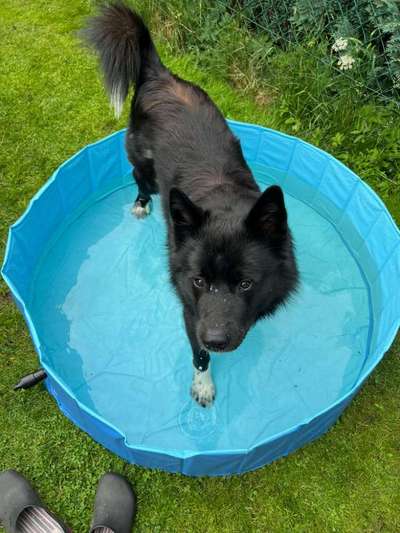 Fotochallenge Nr. 94 It's summer time-Beitrag-Bild