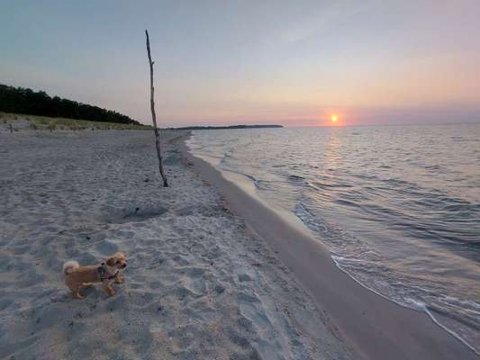 Dogorama Photo Challenge - Urlaubsziele-Beitrag-Bild