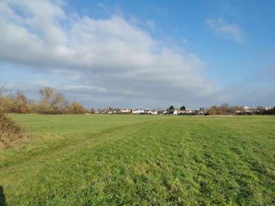 Hundeauslaufgebiet-An der Löcherwiese Kirchbornstrasse-Bild