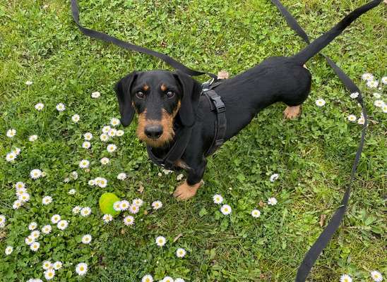 Warum muss es denn unbedingt der sein?-Beitrag-Bild