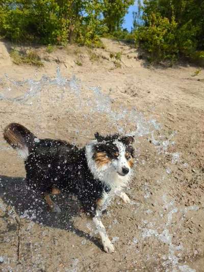 Dogorama Photo Challenge - Sommer Feeling-Beitrag-Bild