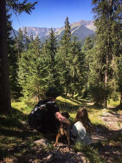 Dogorama Foto Challenge - Wanderziel-Beitrag-Bild