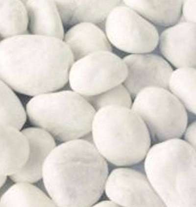 Wie heißt dein Hund?-Beitrag-Bild