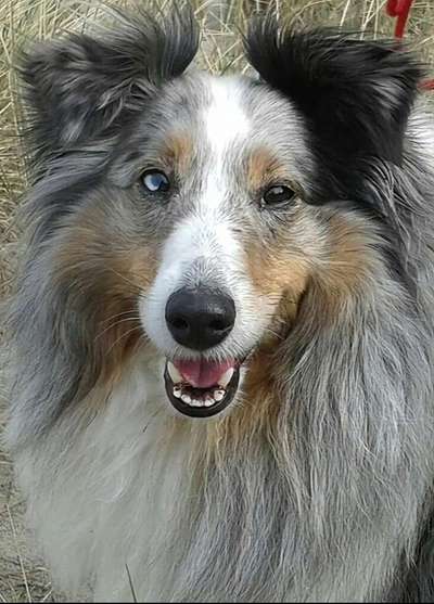 Erinnerungs Tattoos-Beitrag-Bild