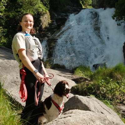 Hundetreffen-Gemeinsam Spazieren oder Wandern