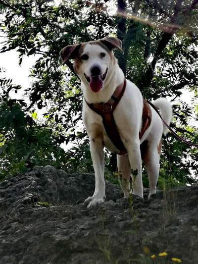 Handy-foto Challange nr. 11-Beitrag-Bild