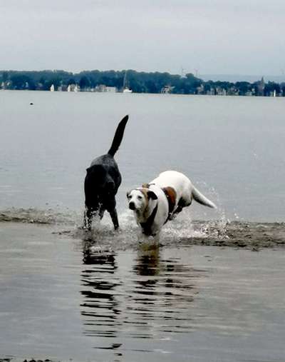 Handy-Foto-Challange Nr.9-Beitrag-Bild