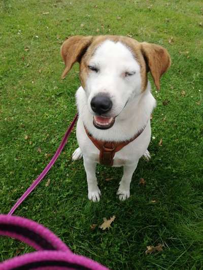 Handy-Foto Challange Nr. 10-Beitrag-Bild